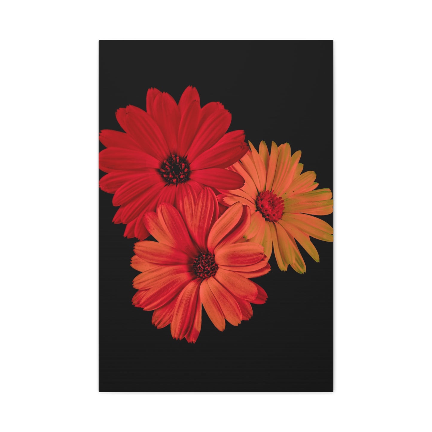 Collection Signature "FLORAL Numéro 1" sur Toile Fine Art sur Toile / Epaisseur 3,2cm - 1'25 po