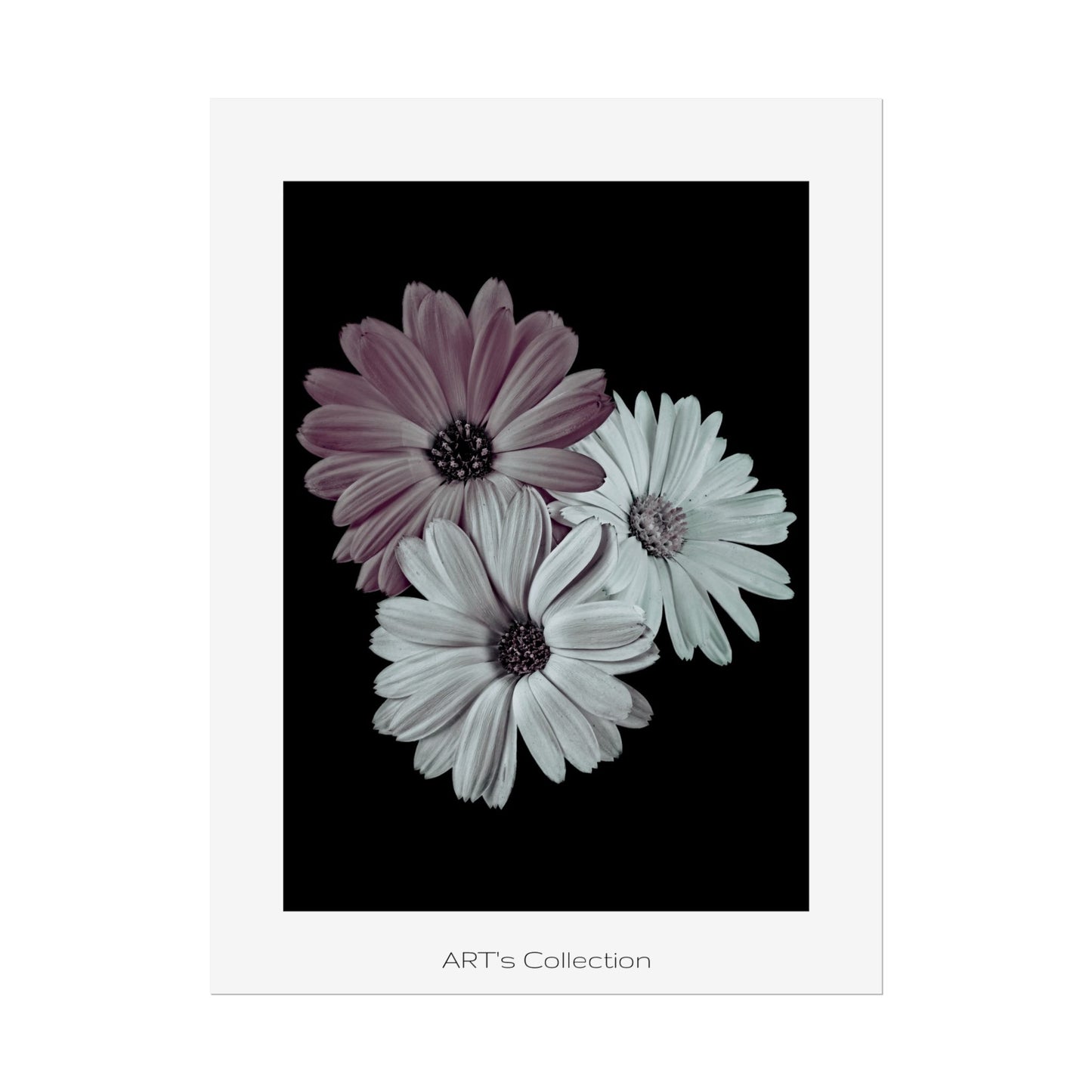 Collection Signature "FLORAL Numéro 5" sur Affiche imprimée - Série ART's Collection