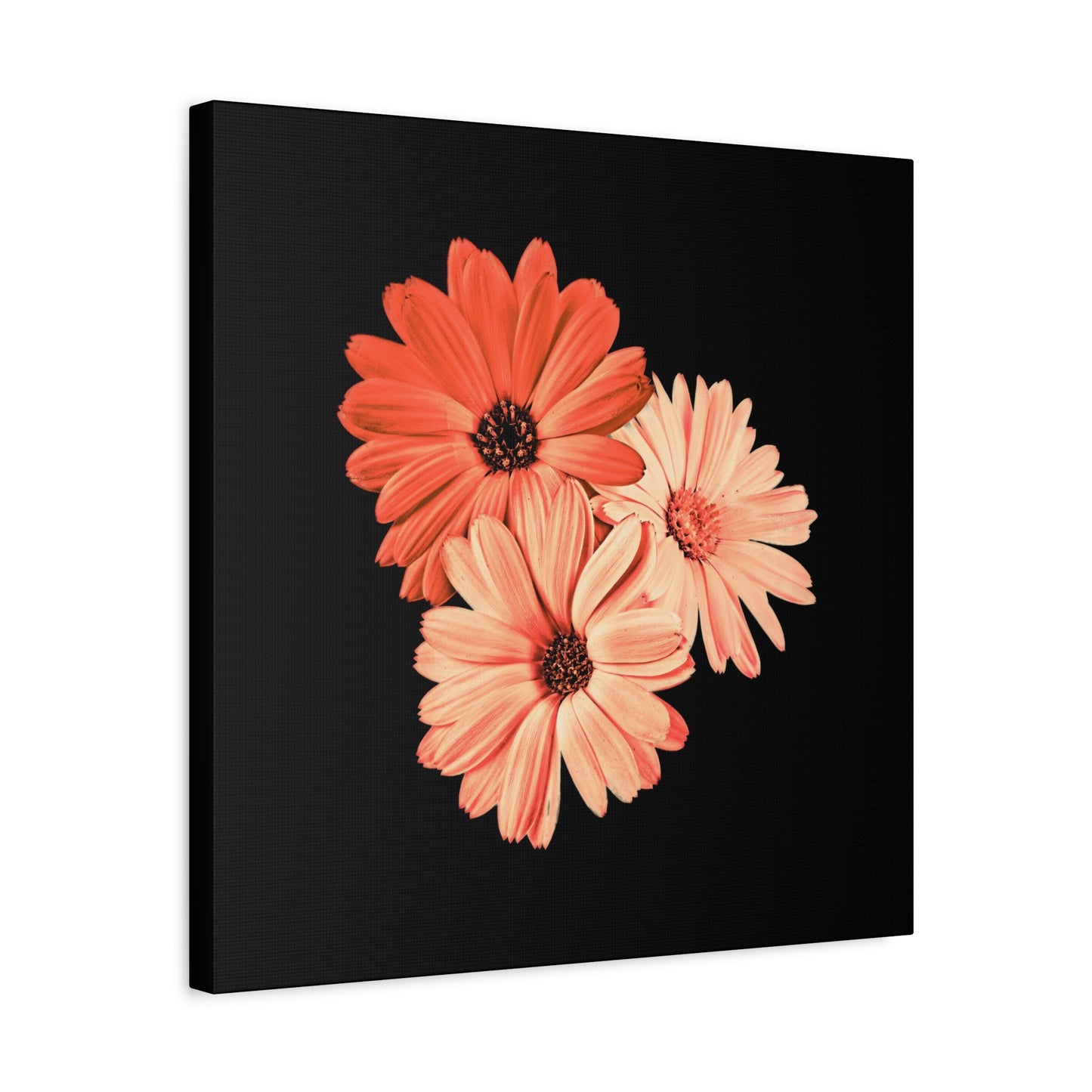 Collection Signature "FLORAL Numéro 6" sur Toile Fine Art sur Toile / Epaisseur 3,2cm - 1'25 po