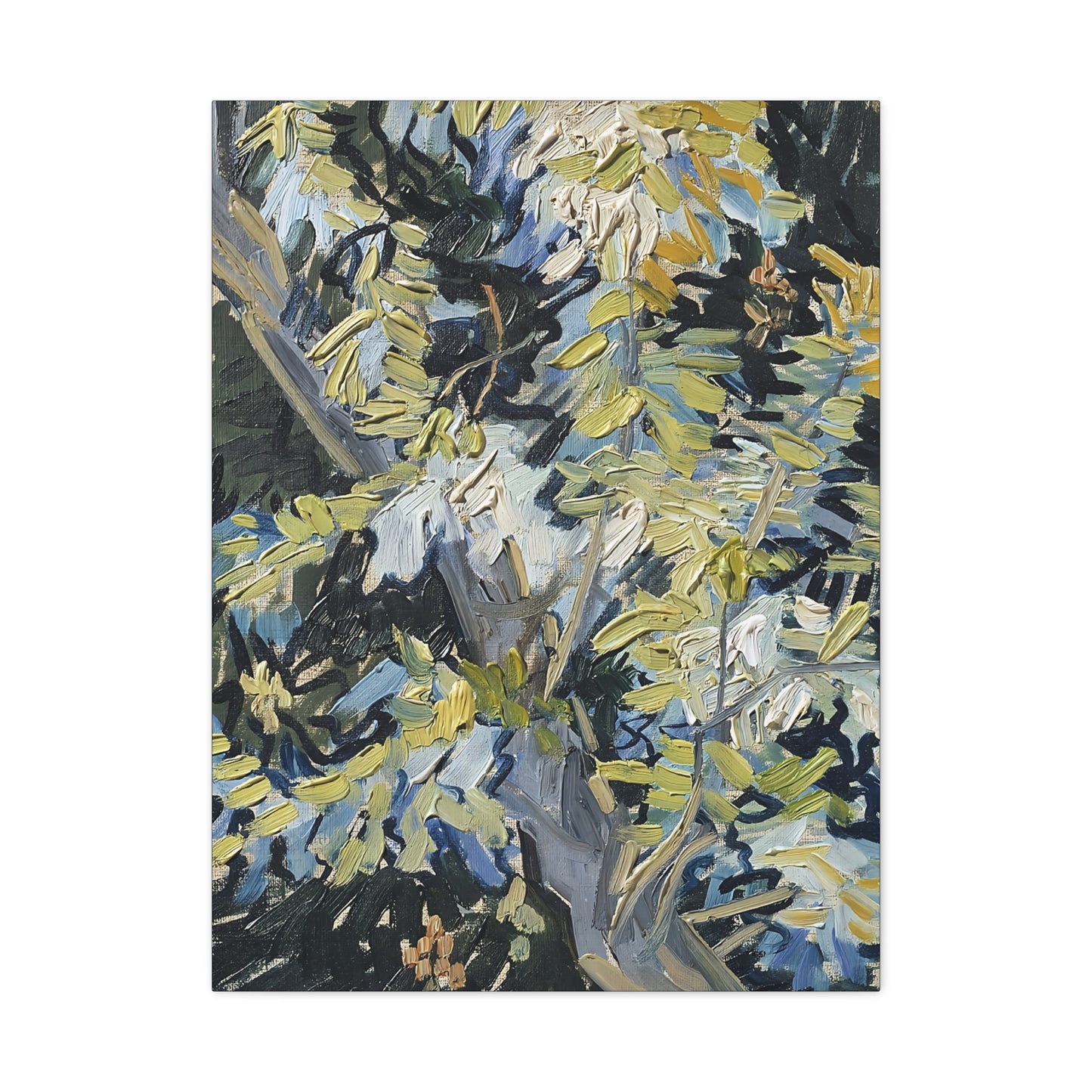 Acacia in Flowers by Vincent van Gogh  / Reproduction Fine Art sur Toile / Epaisseur 3,2cm - 1'25 po