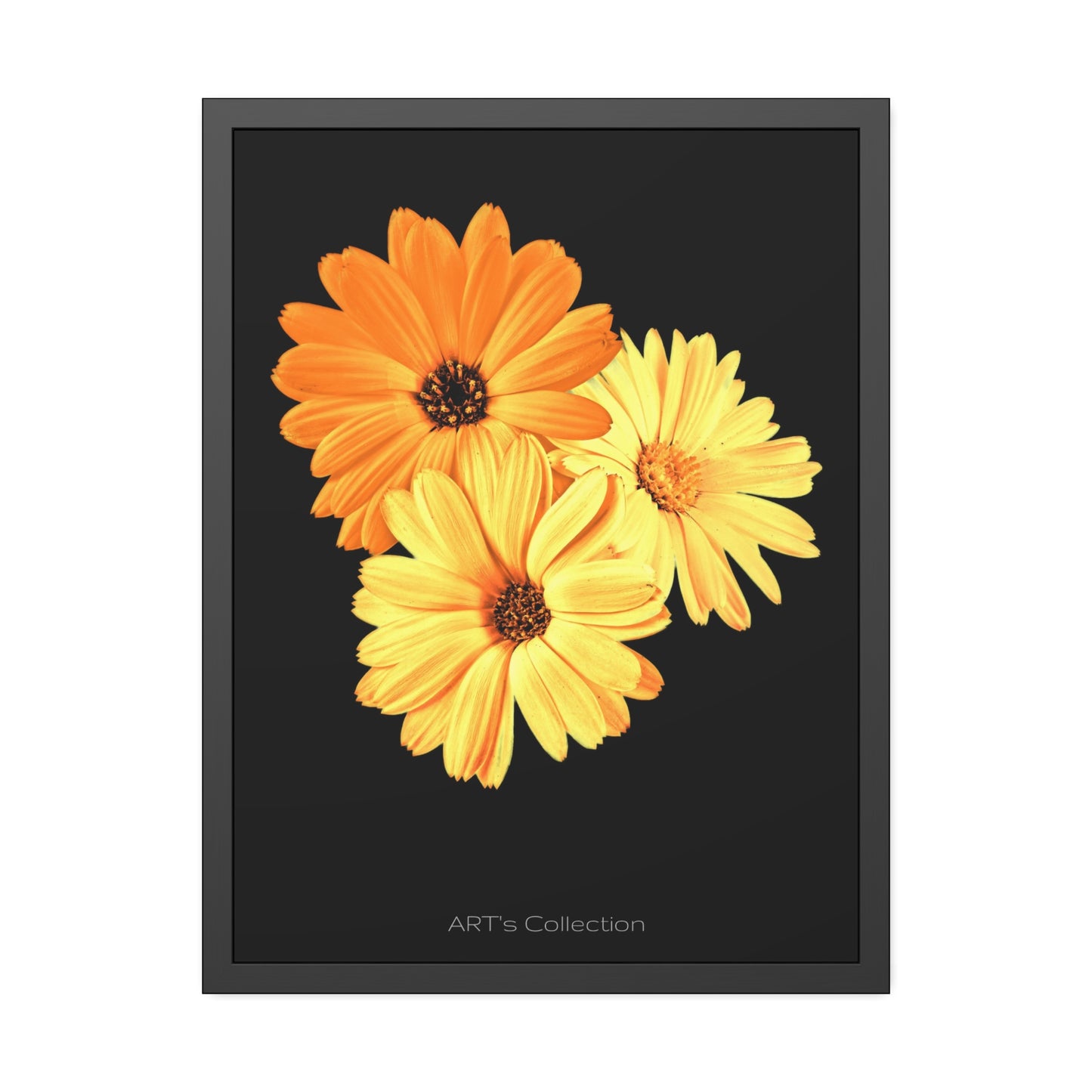 Collection Signature "FLORAL Numéro 8" sur Affiche Encadrée série ART's Collection