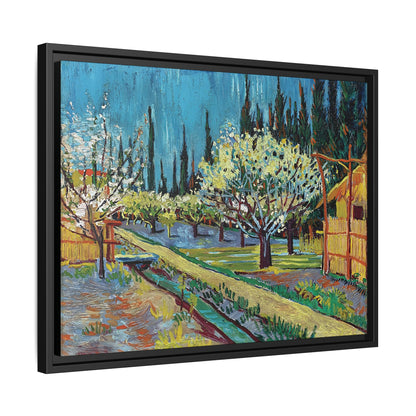 Orchard Bordered by Cypresses (1888) by Vincent van Gogh / Toile encadrée sur caisse américaine