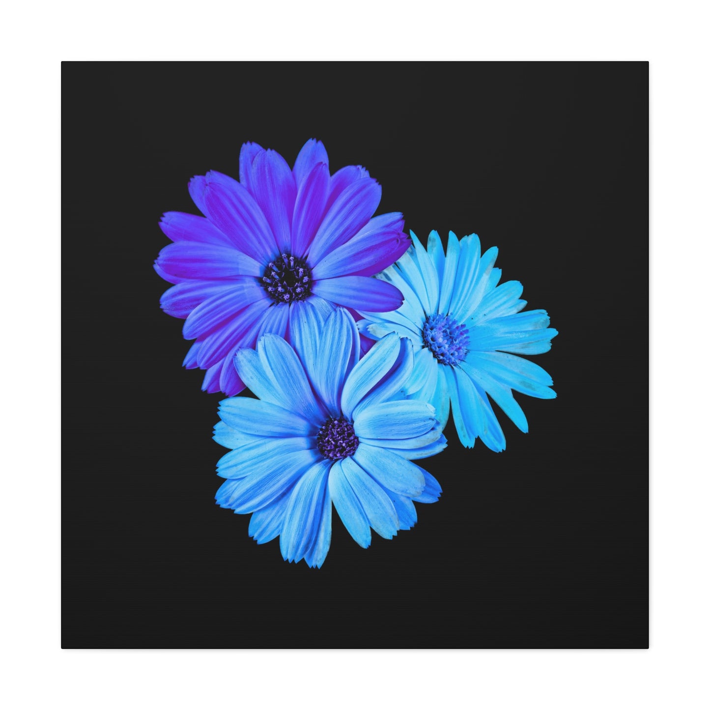 Collection Signature "FLORAL Numéro 2" sur Toile Fine Art sur Toile / Epaisseur 3,2cm - 1'25 po
