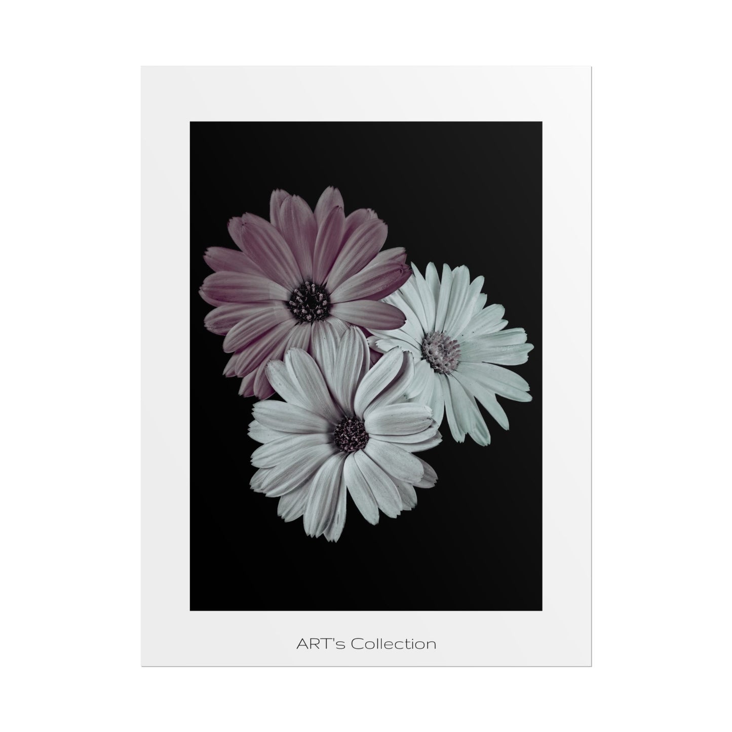 Collection Signature "FLORAL Numéro 5" sur Affiche imprimée - Série ART's Collection