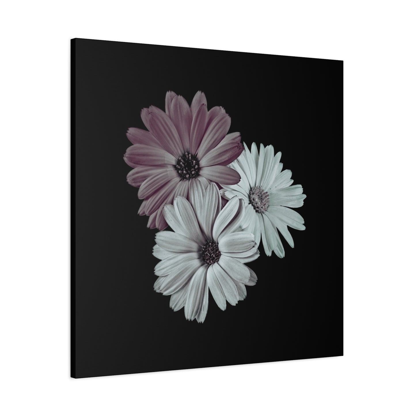 Collection Signature "FLORAL Numéro 5" sur Toile Fine Art sur Toile / Epaisseur 3,2cm - 1'25 po