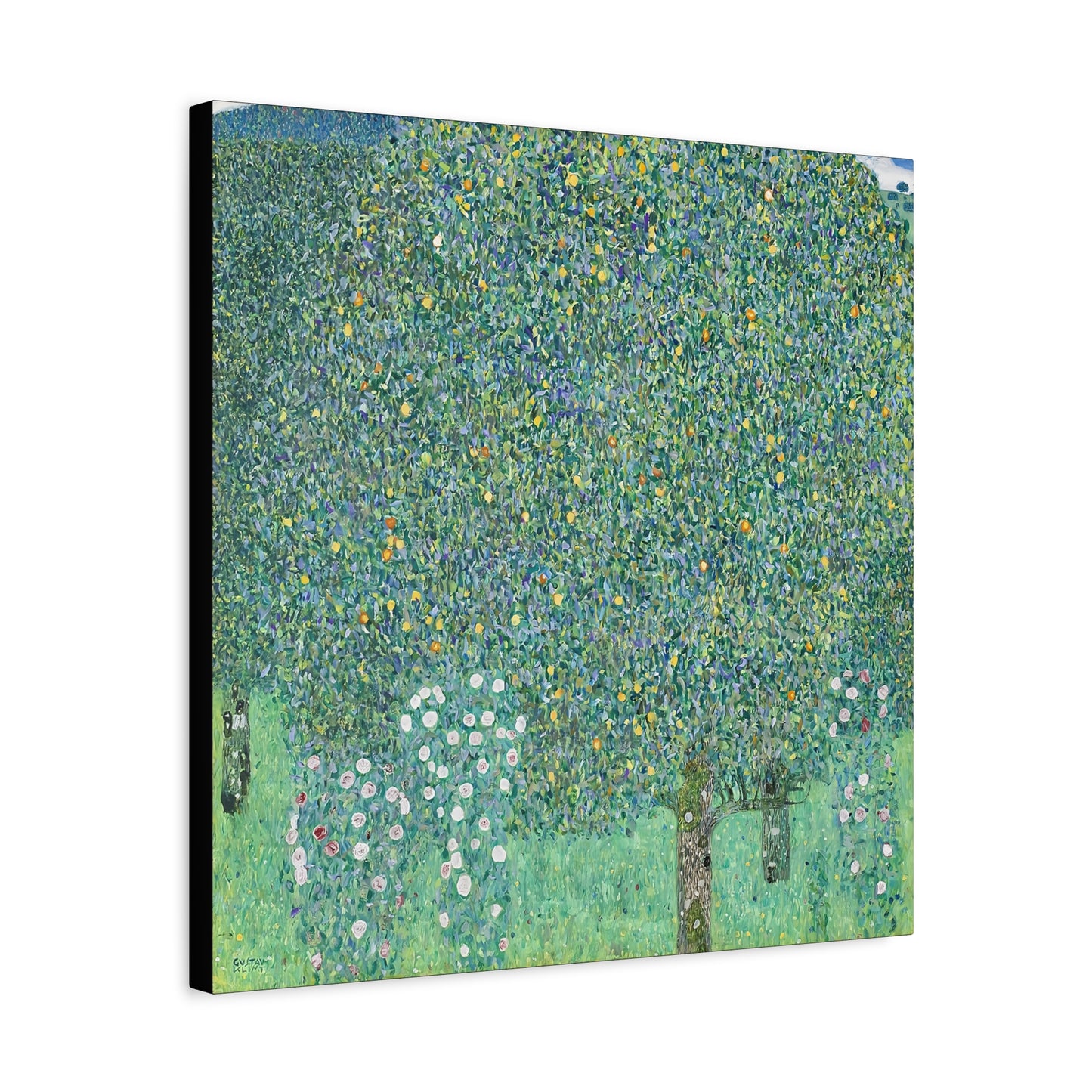 Rosebushes under the Trees (circa 1905) by Gustav Klimt / Reproduction Fine Art sur Toile / Flanc Large Epaisseur 3.2 cm - 1.25 inch