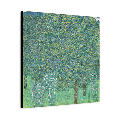 Rosebushes under the Trees (circa 1905) by Gustav Klimt / Reproduction Fine Art sur Toile / Flanc Large Epaisseur 3.2 cm - 1.25 inch