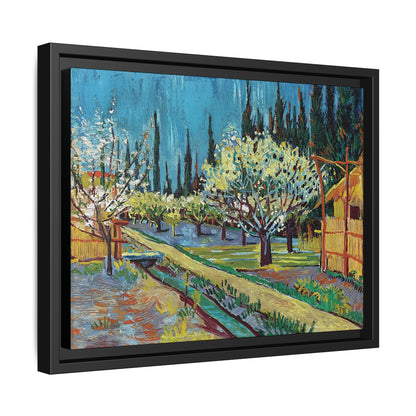 Orchard Bordered by Cypresses (1888) by Vincent van Gogh / Toile encadrée sur caisse américaine