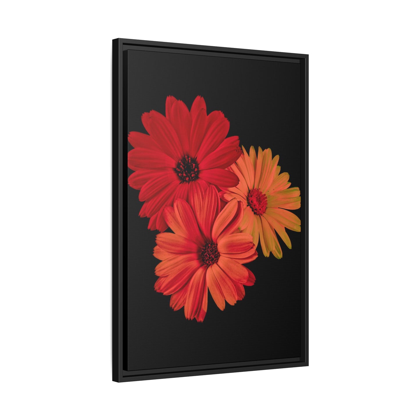 Collection Signature "FLORAL Numéro 1" sur Toile encadrée avec caisse américaine
