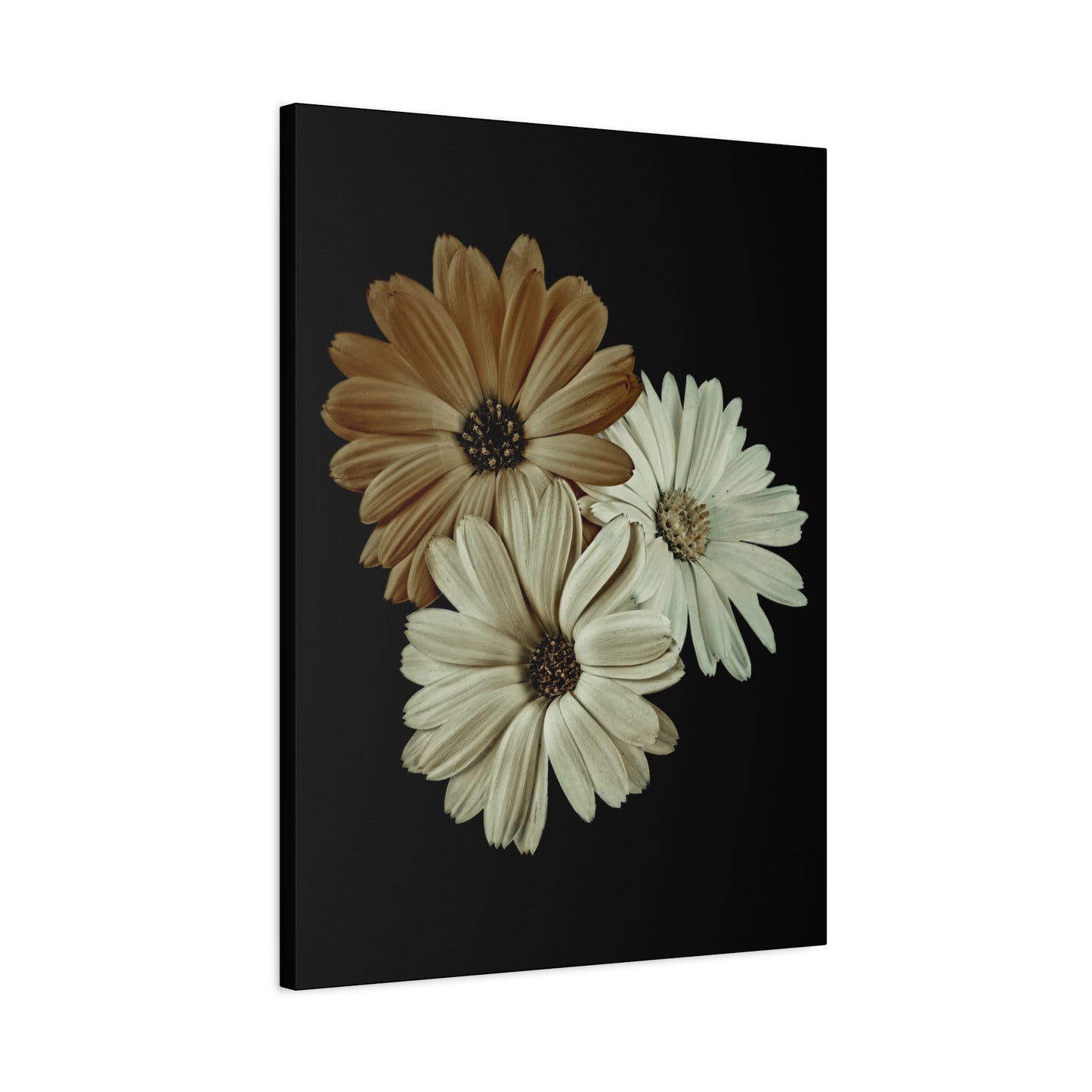 Collection Signature "FLORAL Numéro 3" sur Toile Fine Art sur Toile / Epaisseur 3,2cm - 1'25 po