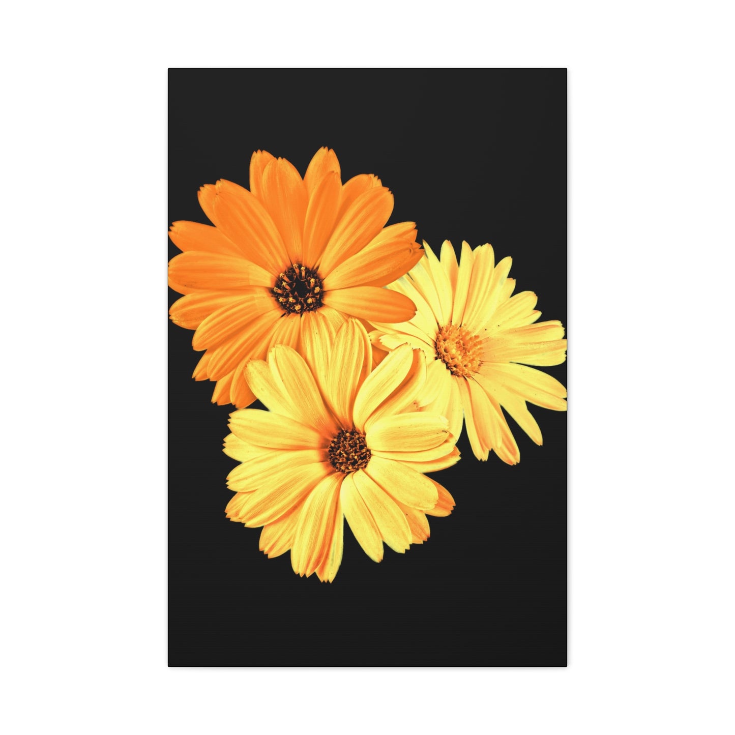 Collection Signature "FLORAL Numéro 8" sur Toile Fine Art sur Toile / Epaisseur 3,2cm - 1'25 po