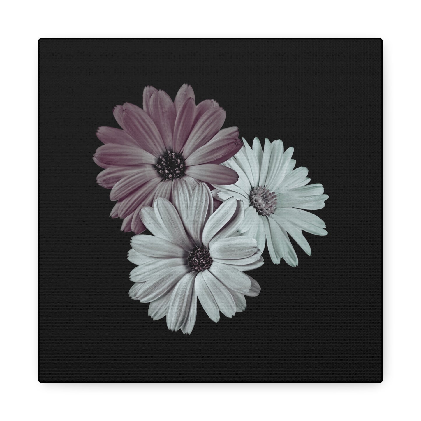 Collection Signature "FLORAL Numéro 5" sur Toile Fine Art sur Toile / Epaisseur 3,2cm - 1'25 po