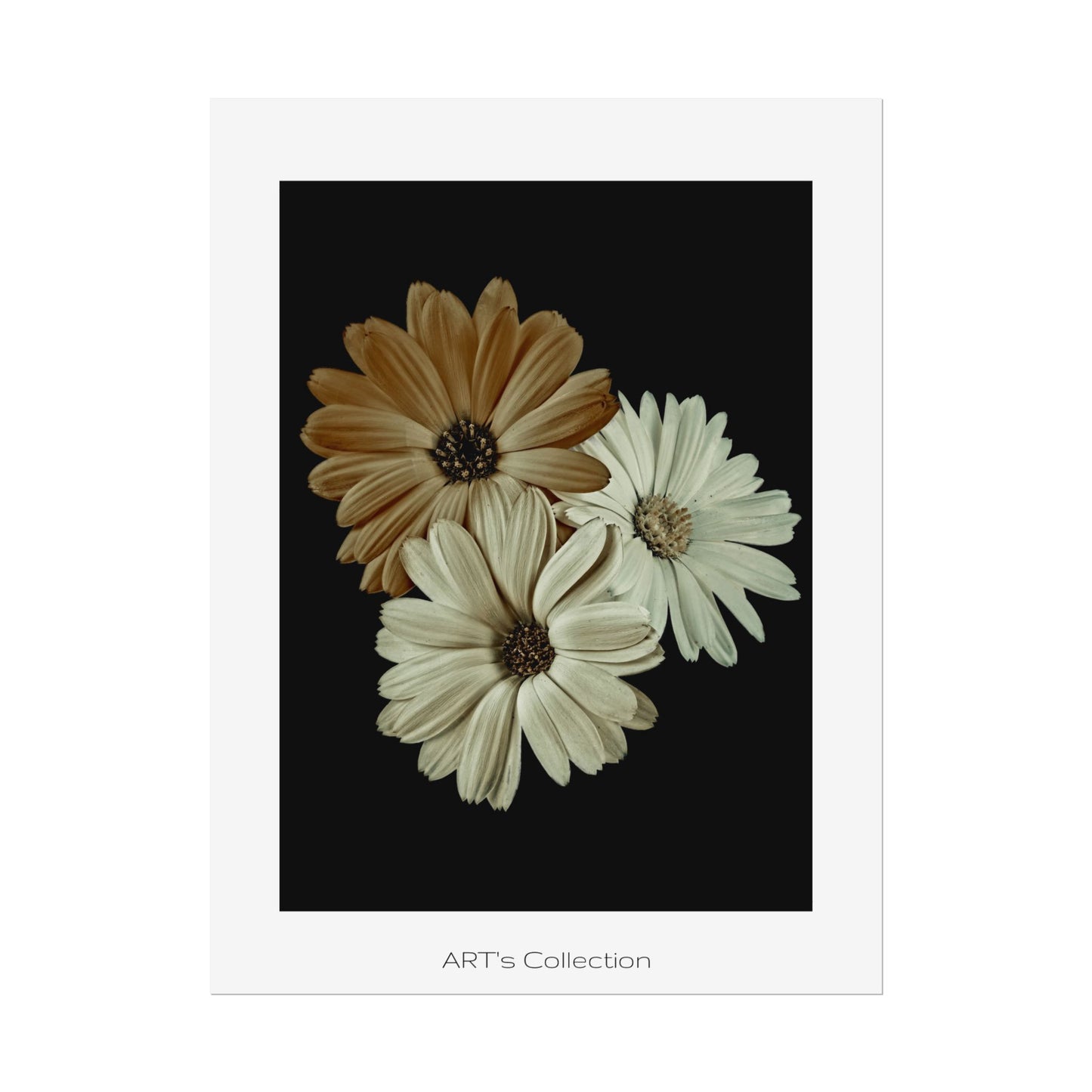 Collection Signature "FLORAL Numéro 3" sur Affiche imprimée - Série ART's Collection