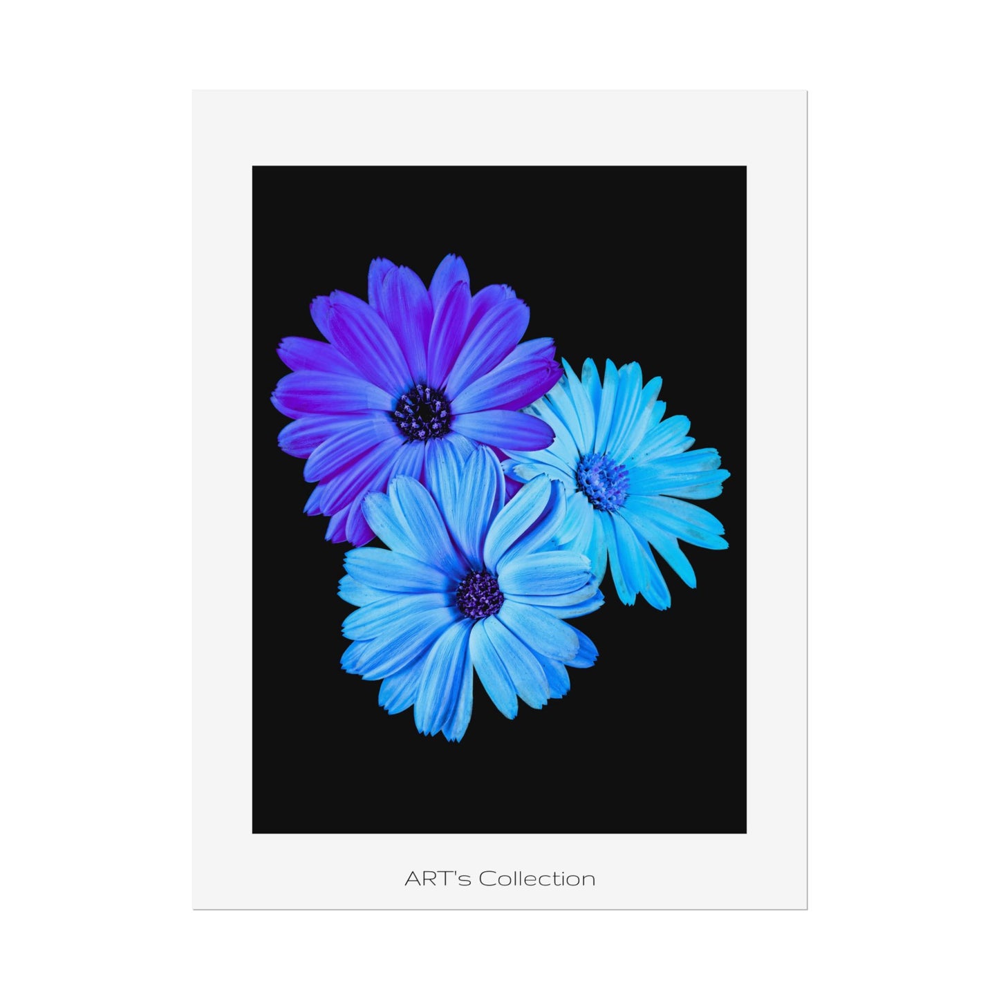 Collection Signature "FLORAL Numéro 2" sur Affiche imprimée - Série ART's Collection
