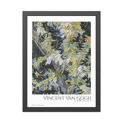 Acacia in Flowers by Vincent Van Gogh / Affiche Encadrée série ART's Collection