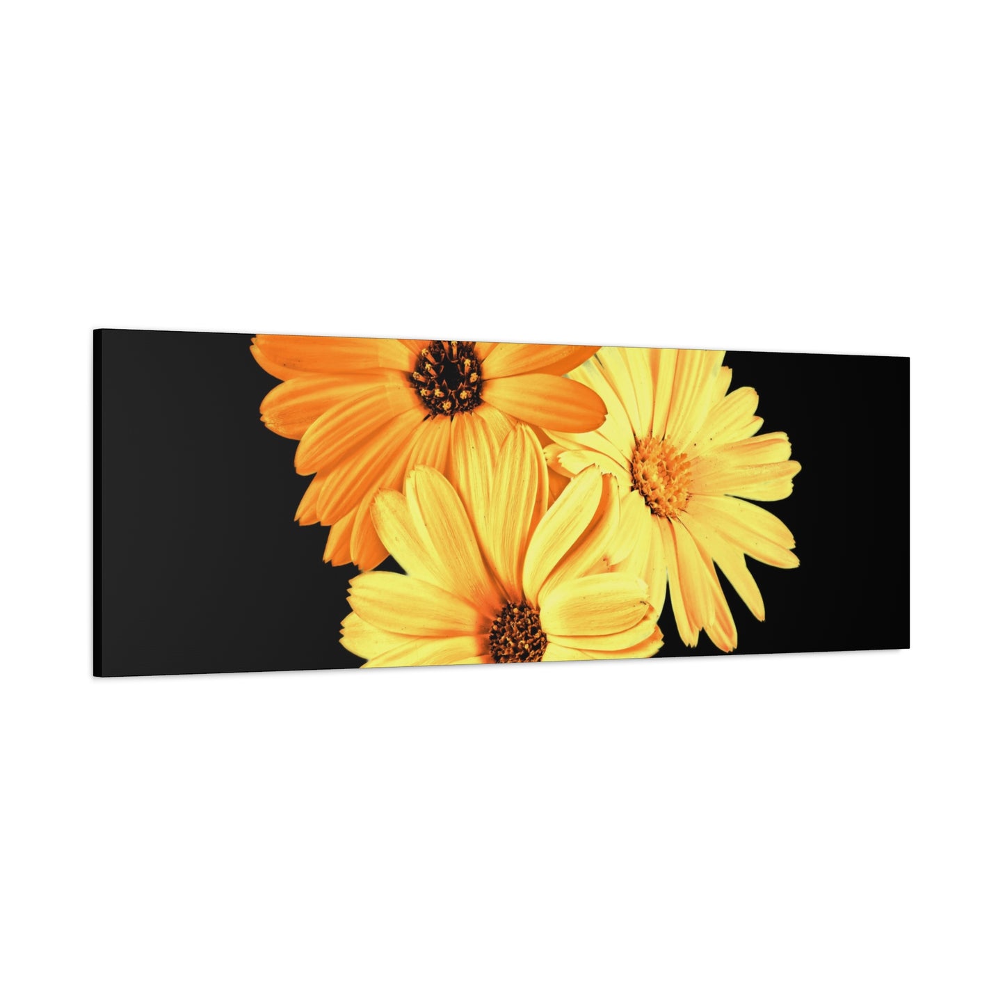 Collection Signature "FLORAL Numéro 8" sur Toile Fine Art sur Toile / Epaisseur 3,2cm - 1'25 po