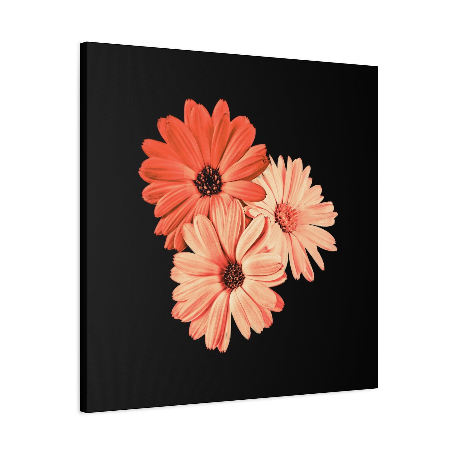 Collection Signature "FLORAL Numéro 6" sur Toile Fine Art sur Toile / Epaisseur 3,2cm - 1'25 po