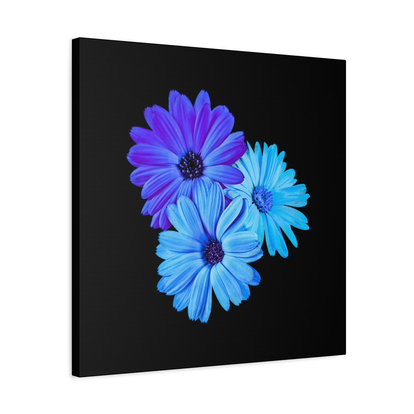 Collection Signature "FLORAL Numéro 2" sur Toile Fine Art sur Toile / Epaisseur 3,2cm - 1'25 po