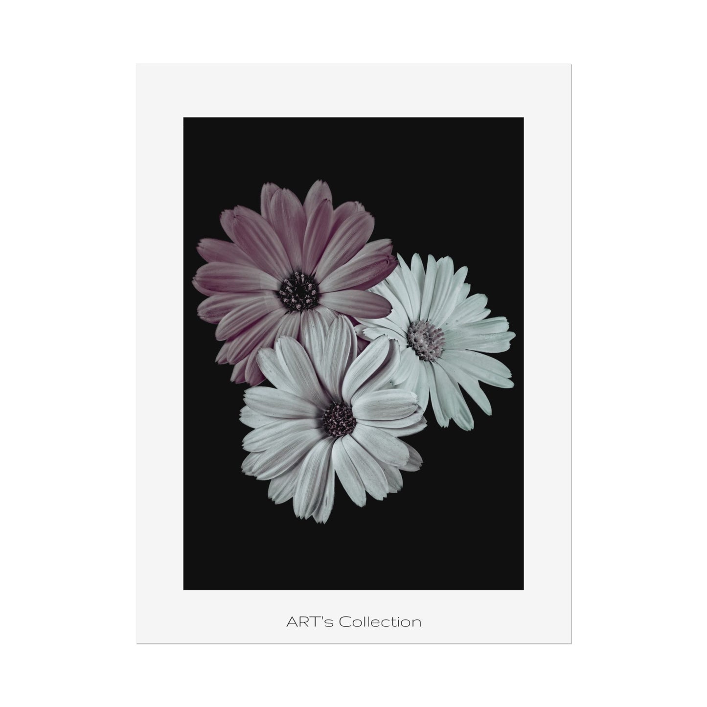 Collection Signature "FLORAL Numéro 5" sur Affiche imprimée - Série ART's Collection