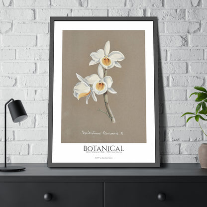 Botanical - Orchidées Pl.66 (19th Century) / Affiche Encadrée série ART's Collection
