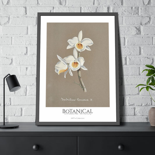 Botanical - Orchidées Pl.66 (19th Century) / Affiche Encadrée série ART's Collection