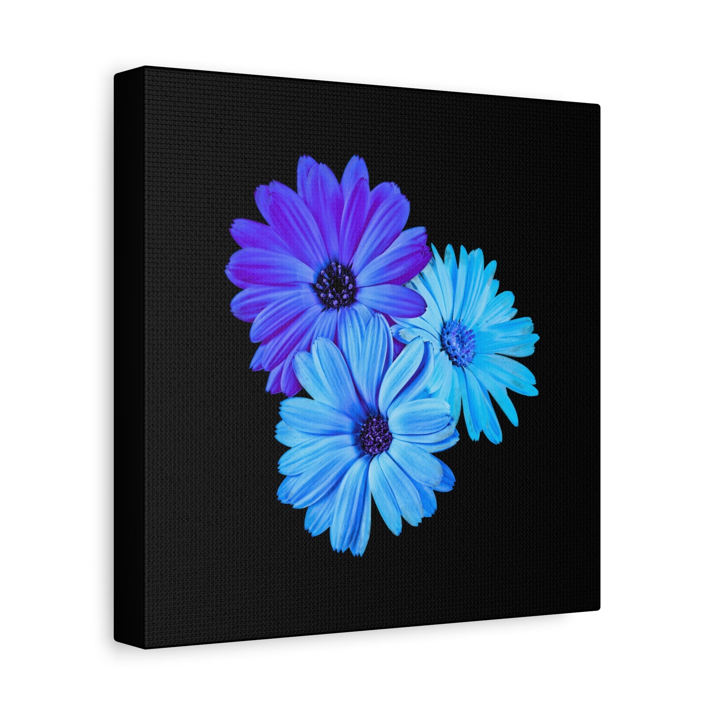 Collection Signature "FLORAL Numéro 2" sur Toile Fine Art sur Toile / Epaisseur 3,2cm - 1'25 po