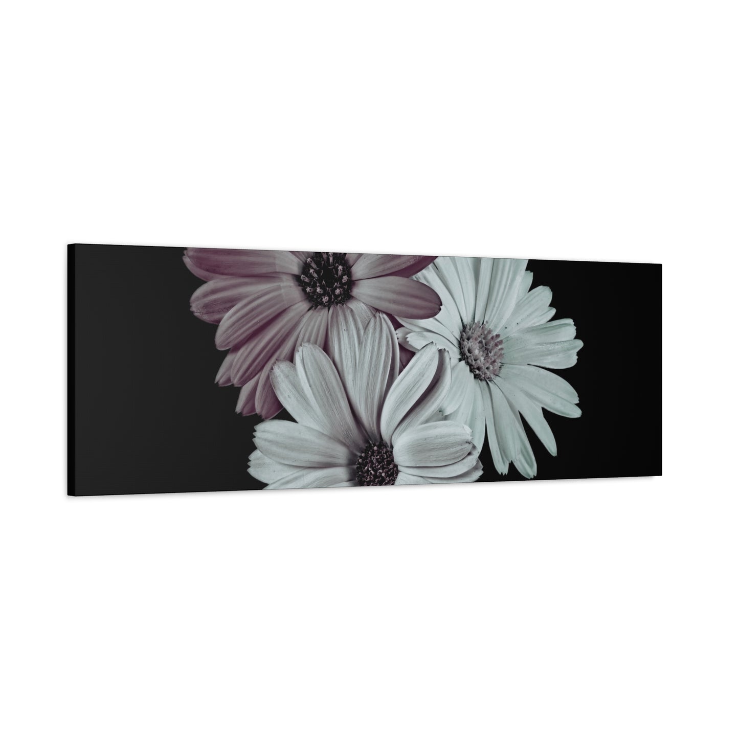 Collection Signature "FLORAL Numéro 5" sur Toile Fine Art sur Toile / Epaisseur 3,2cm - 1'25 po