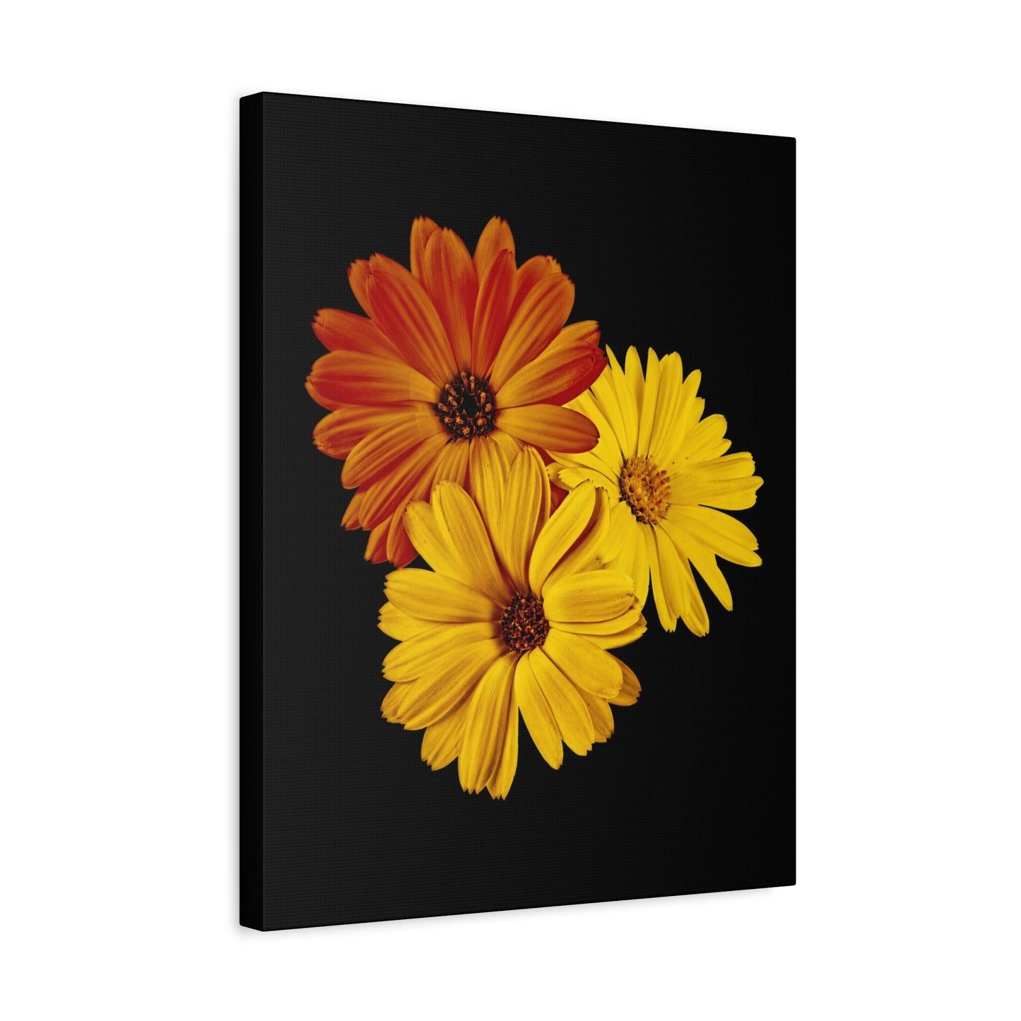 Collection Signature "FLORAL Numéro 4" sur Toile Fine Art sur Toile / Epaisseur 3,2cm - 1'25 po