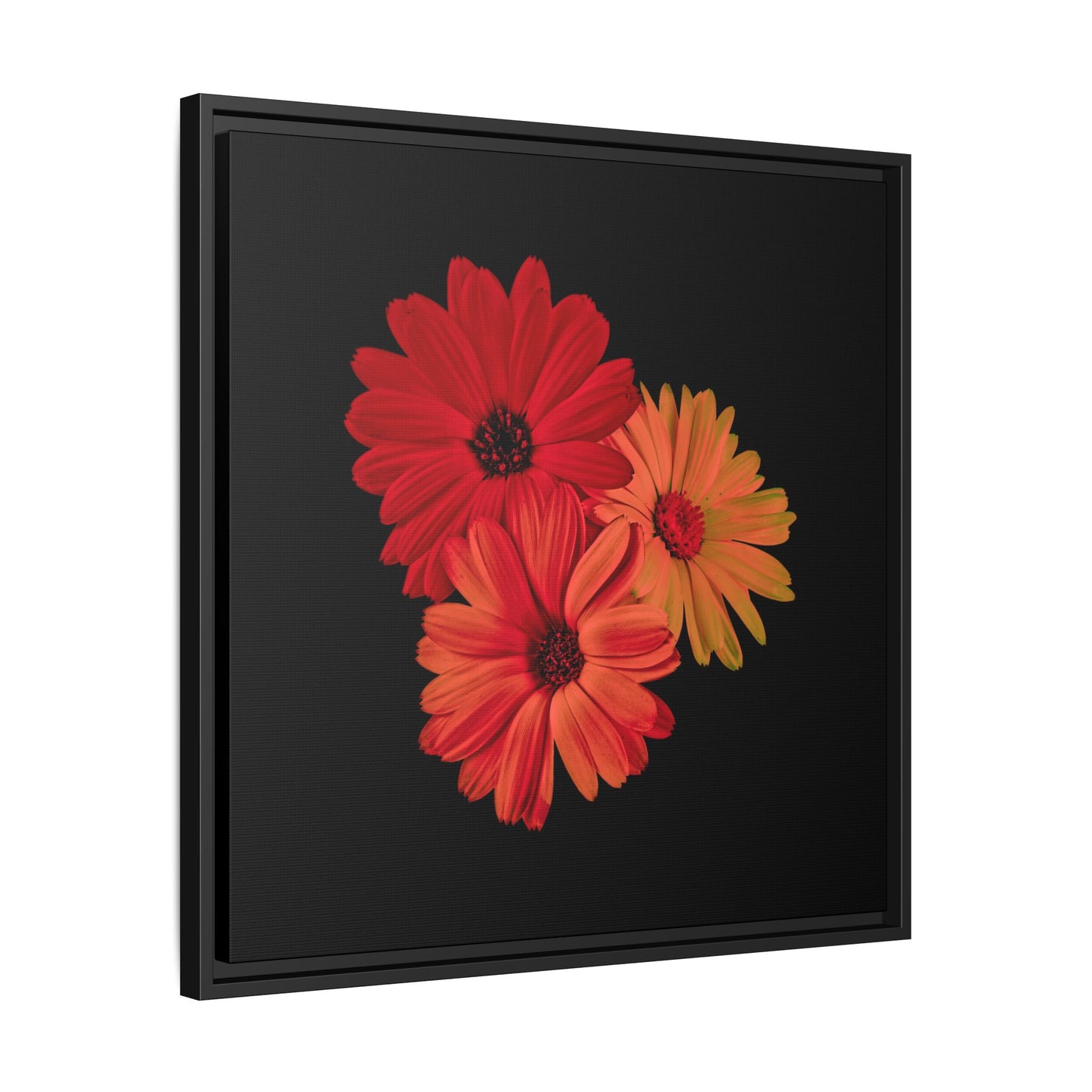 Collection Signature "FLORAL Numéro 1" sur Toile encadrée avec caisse américaine