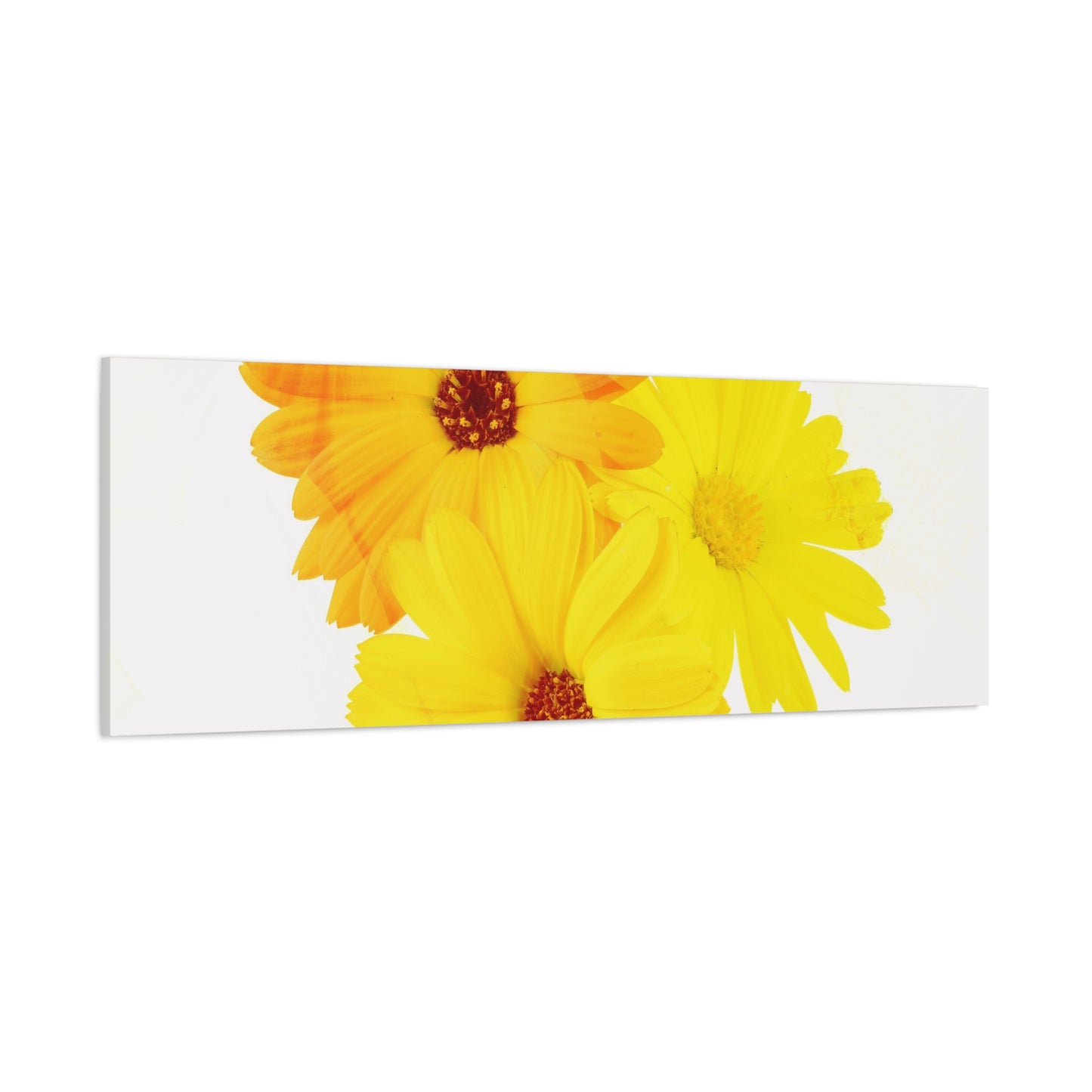 Collection Signature "FLORAL Numéro 16" sur Toile Fine Art sur Toile / Epaisseur 3,2cm - 1'25 po