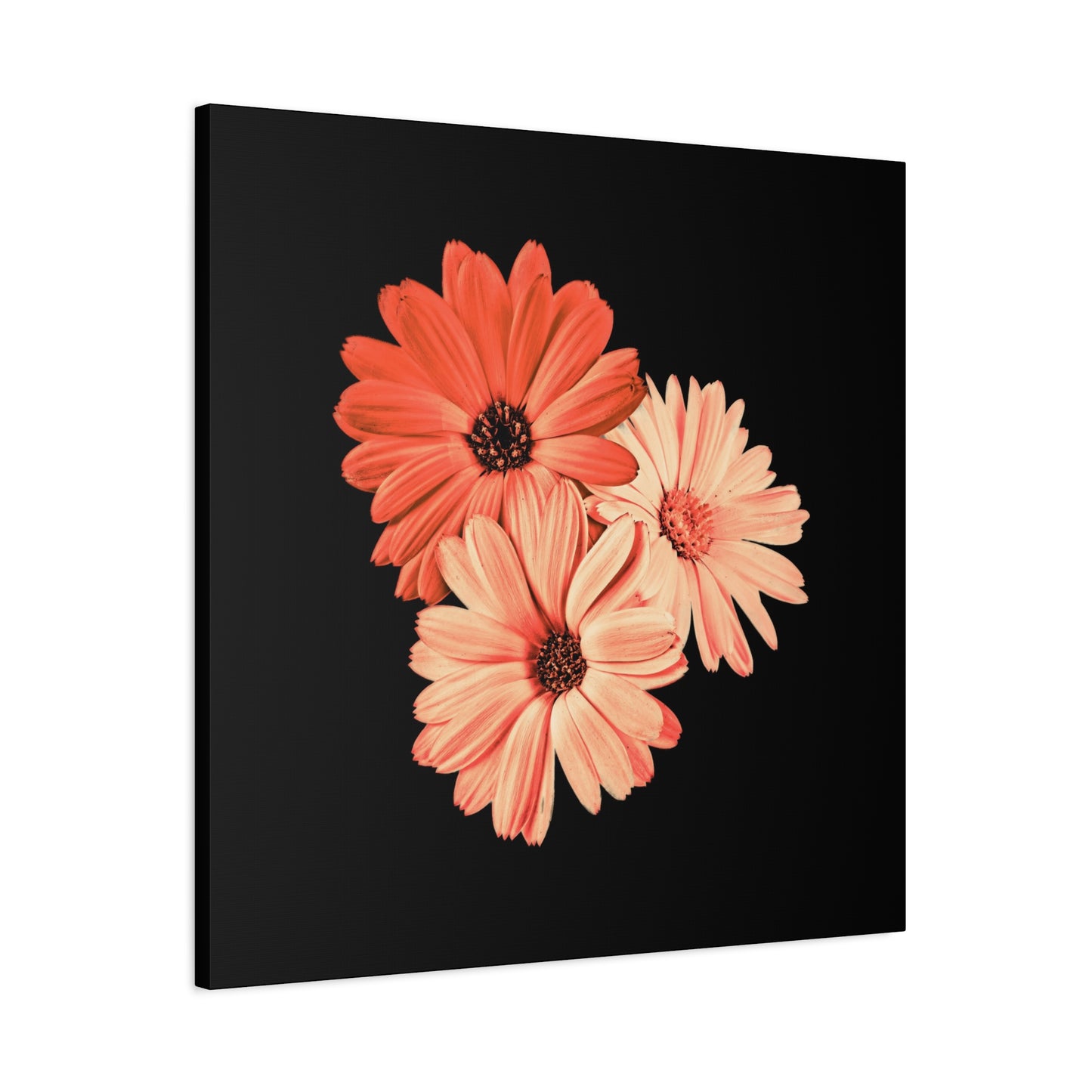 Collection Signature "FLORAL Numéro 6" sur Toile Fine Art sur Toile / Epaisseur 3,2cm - 1'25 po