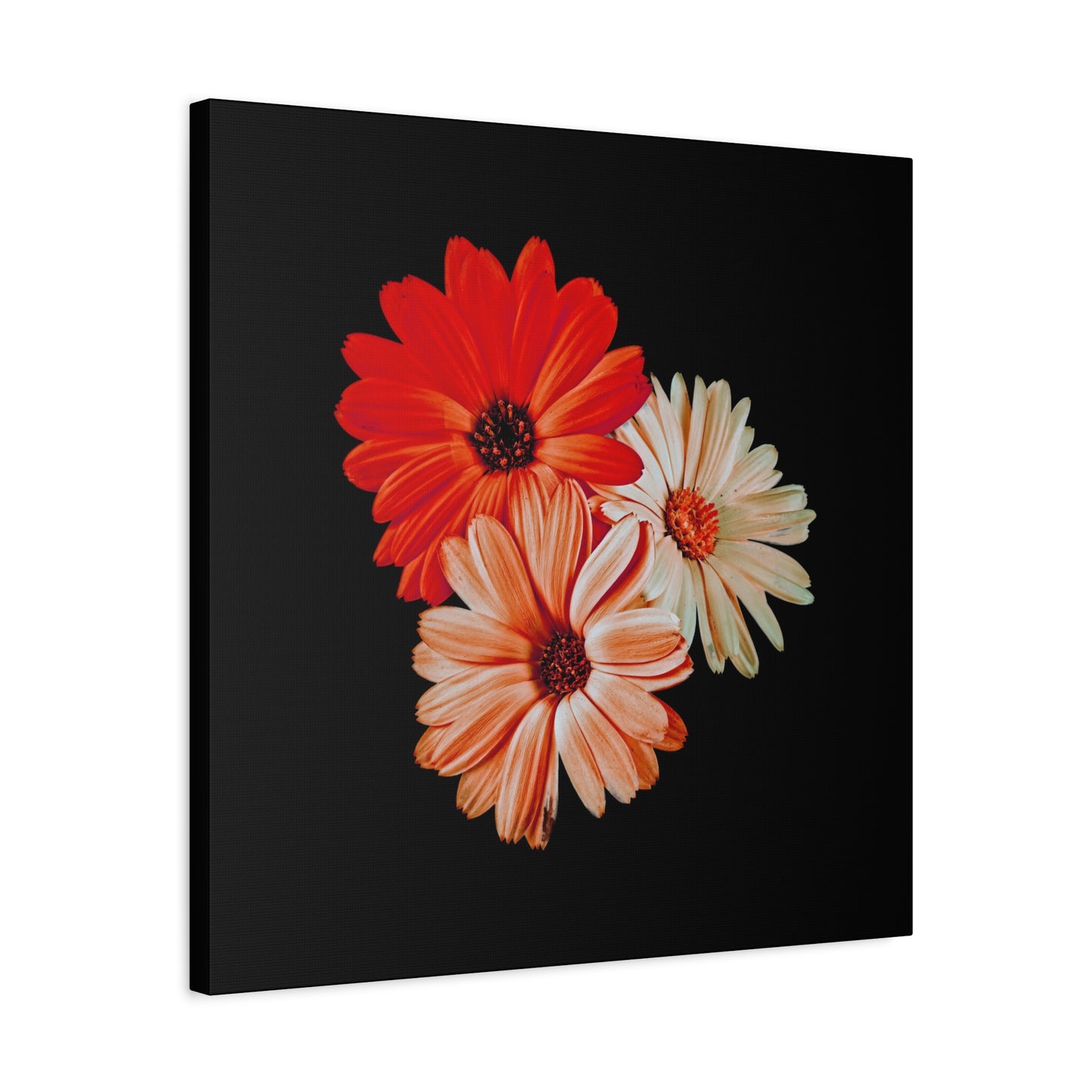 Collection Signature "FLORAL Numéro 7" sur Toile Fine Art sur Toile / Epaisseur 3,2cm - 1'25 po