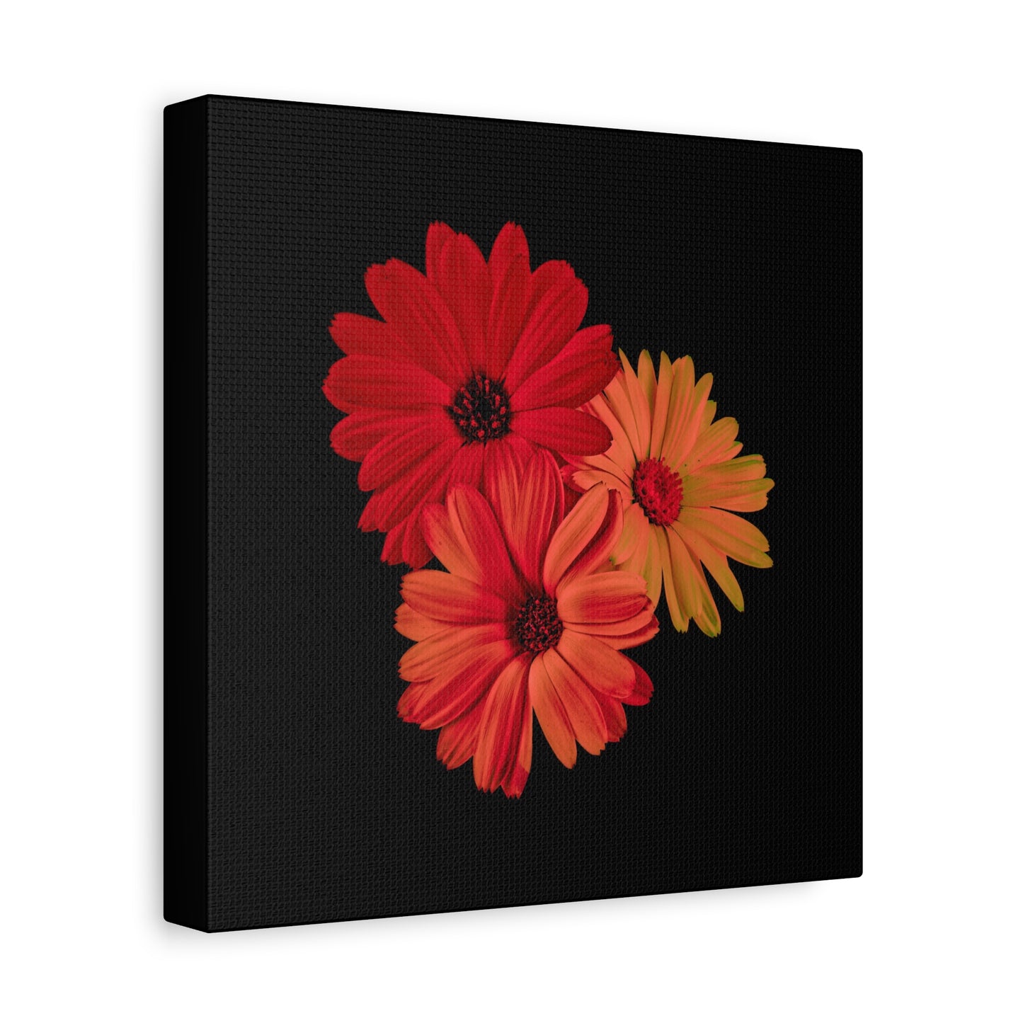 Collection Signature "FLORAL Numéro 1" sur Toile Fine Art sur Toile / Epaisseur 3,2cm - 1'25 po