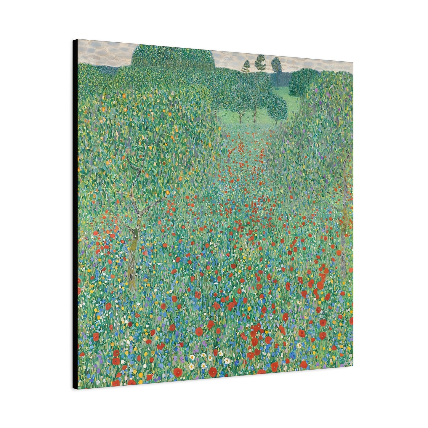 Blühender Mohn Mohnwiese (1907) by Gustav Klimt / Reproduction Fine Art sur Toile / Flanc Large Epaisseur 3.2 cm - 1.25 inch