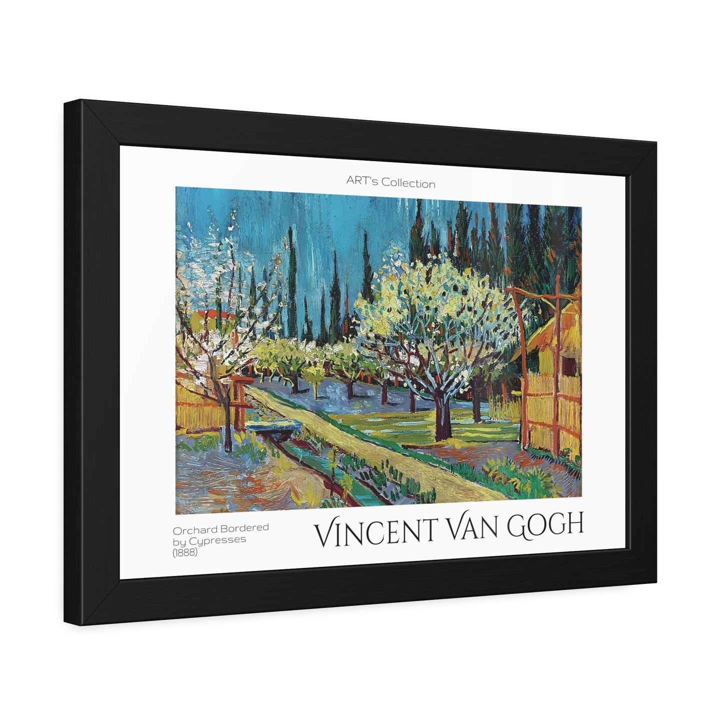 Orchard Bordered by Cypresses (1888) by Vincent Van Gogh / Affiche Encadrée série ART's Collection