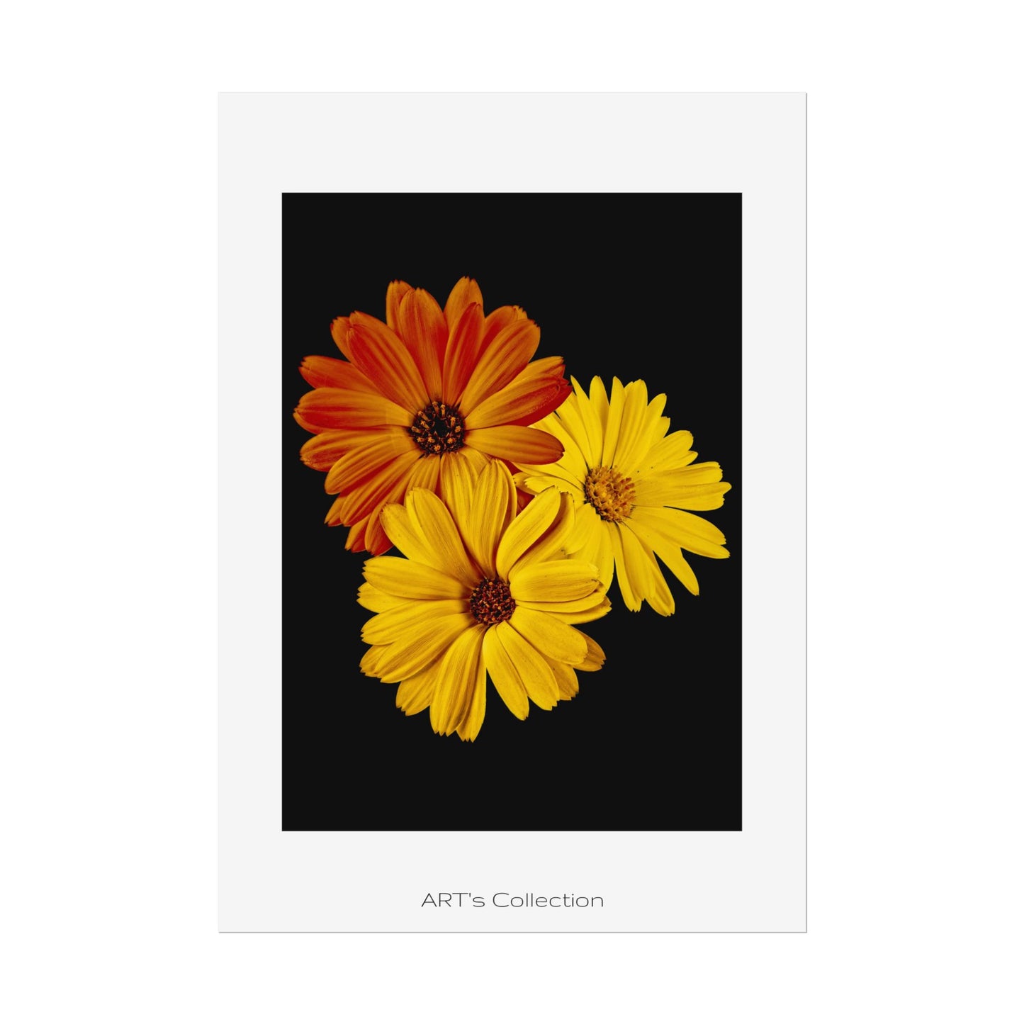 Collection Signature "FLORAL Numéro 4" sur Affiche imprimée - Série ART's Collection