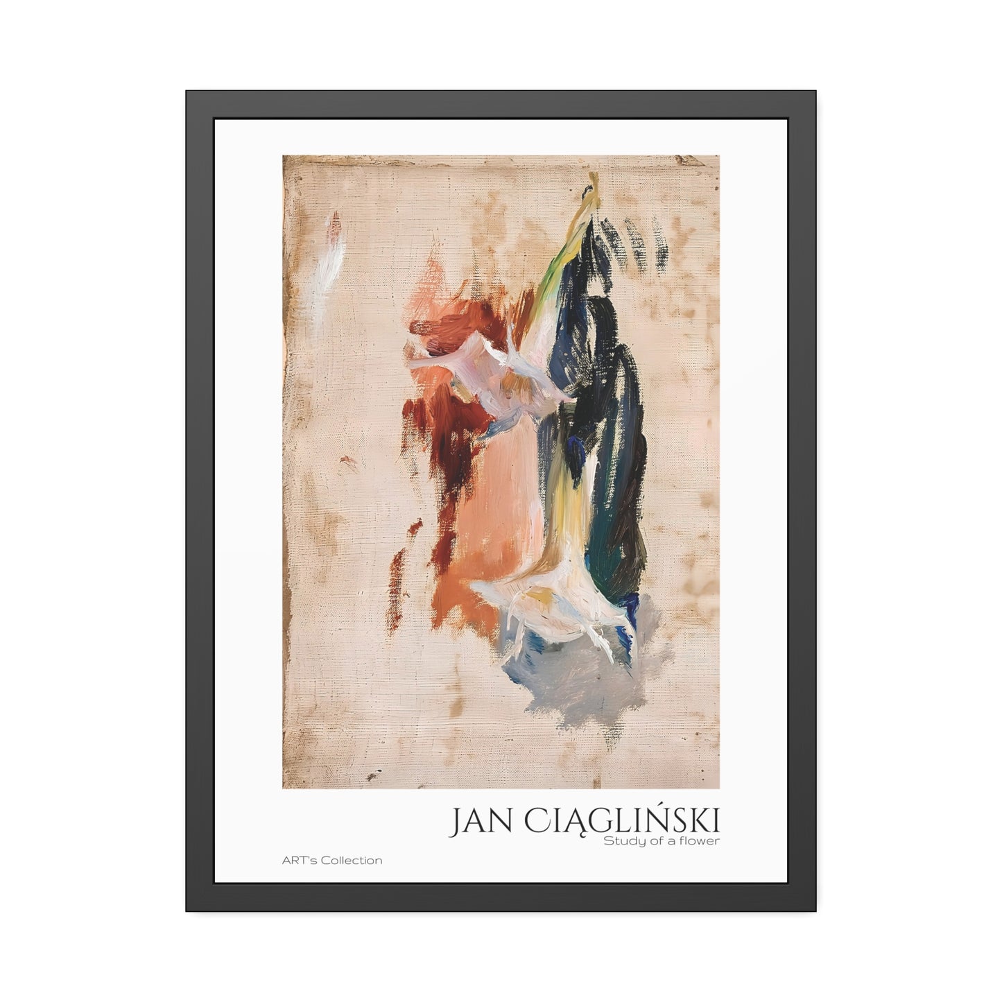 Study of a flower by Jan Ciaglinski  / Affiche Encadrée série ART's Collection