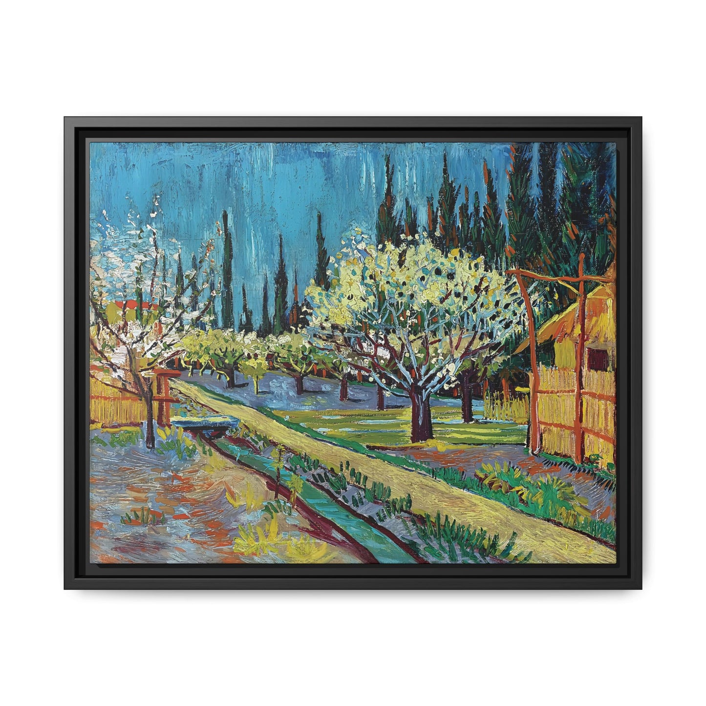 Orchard Bordered by Cypresses (1888) by Vincent van Gogh / Toile encadrée sur caisse américaine