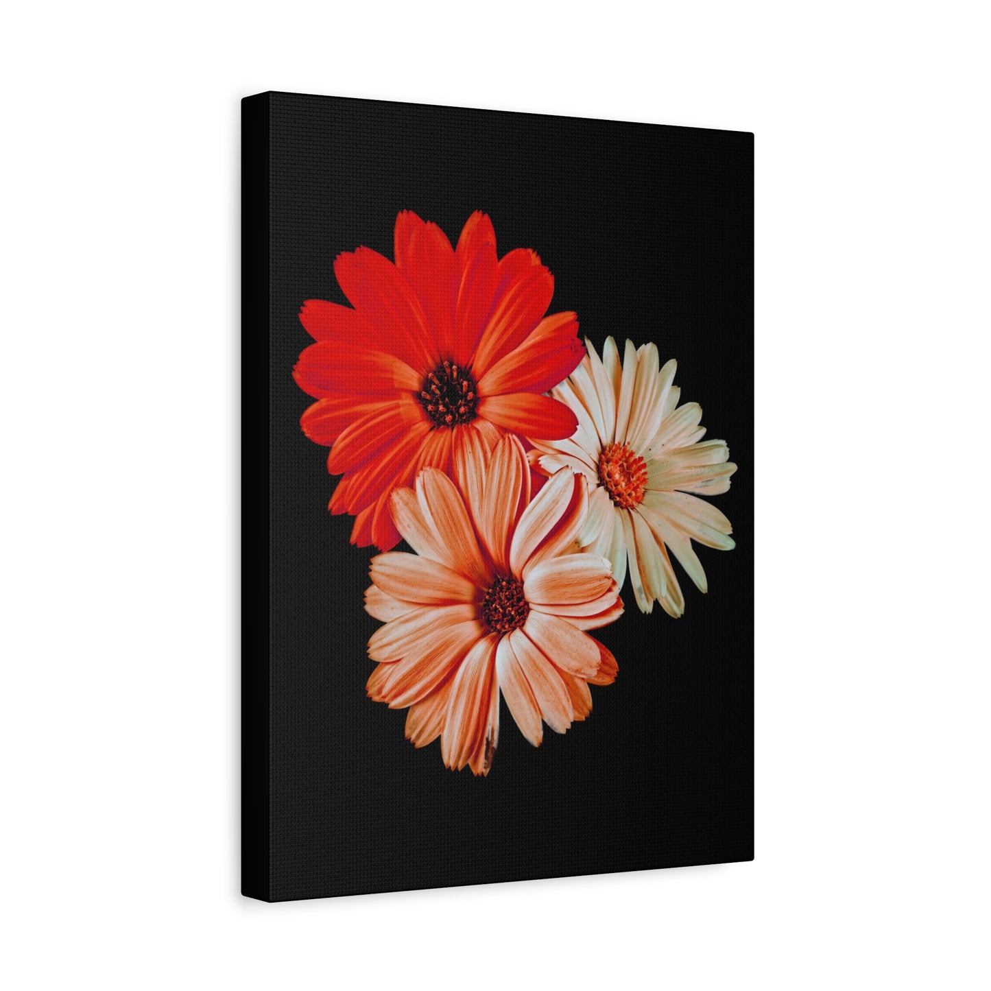 Collection Signature "FLORAL Numéro 7" sur Toile Fine Art sur Toile / Epaisseur 3,2cm - 1'25 po