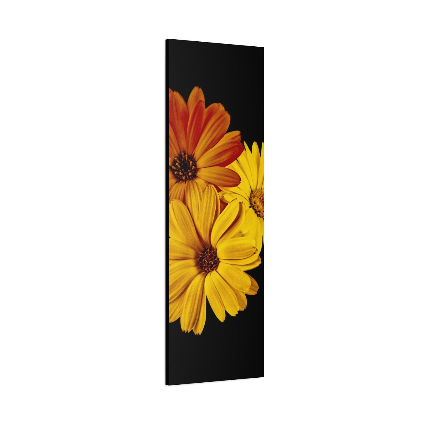 Collection Signature "FLORAL Numéro 4" sur Toile Fine Art sur Toile / Epaisseur 3,2cm - 1'25 po
