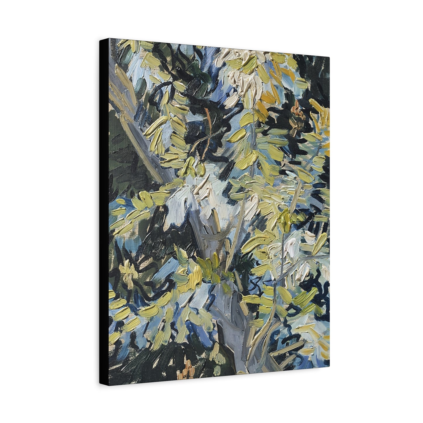 Acacia in Flowers by Vincent van Gogh  / Reproduction Fine Art sur Toile / Epaisseur 3,2cm - 1'25 po