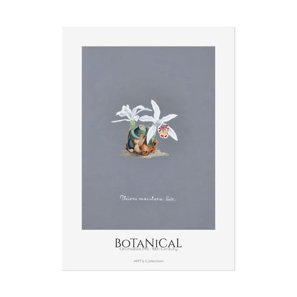 Botanical - Orchidées Pl.15 (19th Century) / Affiche imprimée - Série ART's Collection