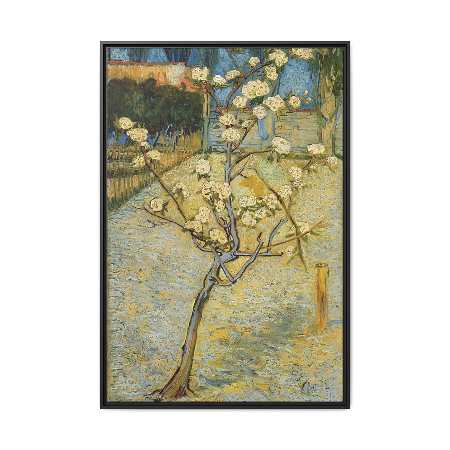 Small pear tree in blossom (1888) by Vincent van Gogh / Toile encadrée sur caisse américaine