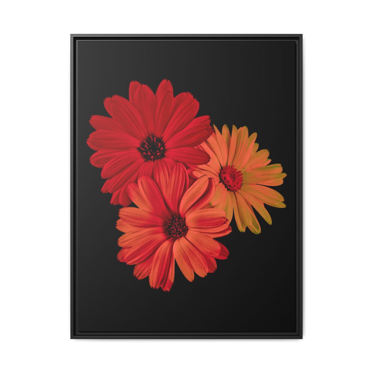 Collection Signature "FLORAL Numéro 1" sur Toile encadrée avec caisse américaine