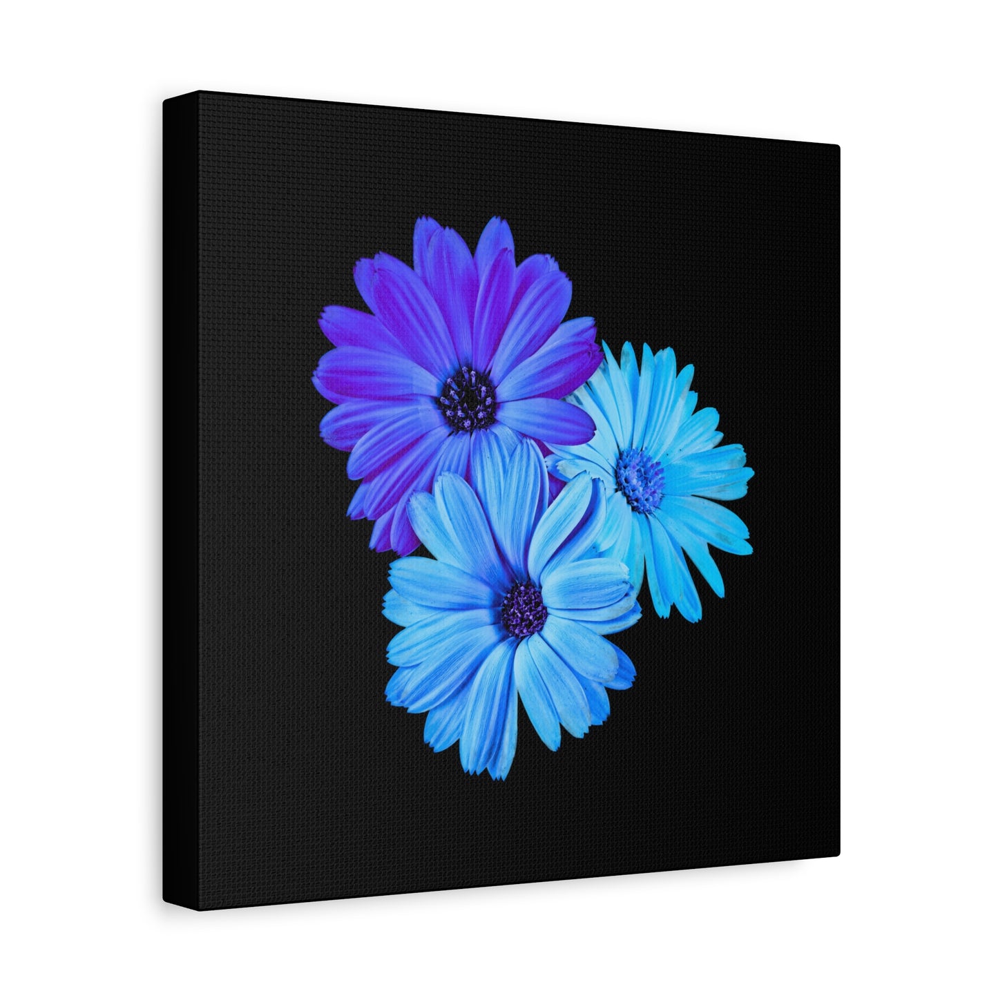 Collection Signature "FLORAL Numéro 2" sur Toile Fine Art sur Toile / Epaisseur 3,2cm - 1'25 po