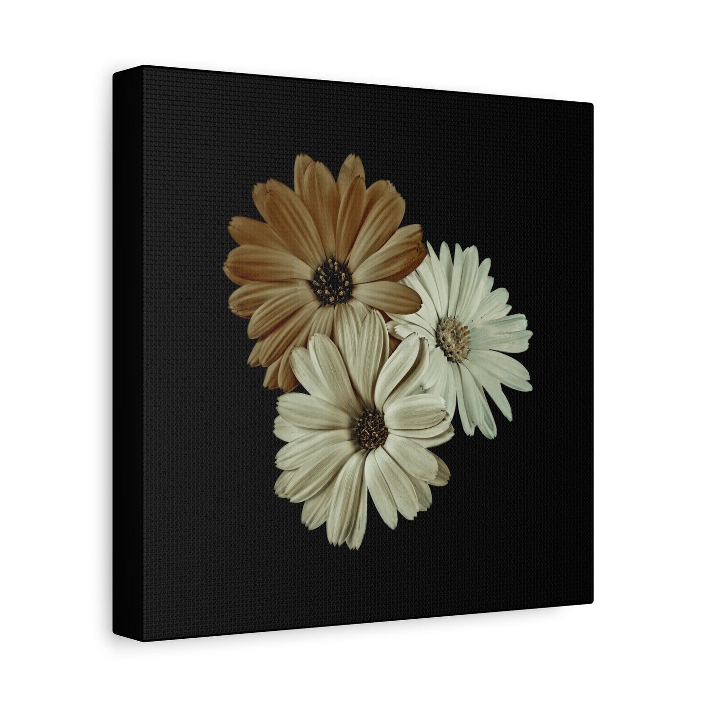Collection Signature "FLORAL Numéro 3" sur Toile Fine Art sur Toile / Epaisseur 3,2cm - 1'25 po