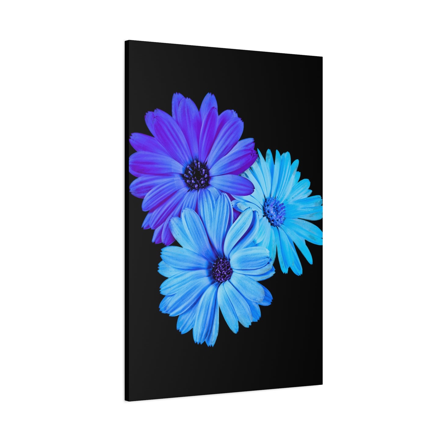Collection Signature "FLORAL Numéro 2" sur Toile Fine Art sur Toile / Epaisseur 3,2cm - 1'25 po