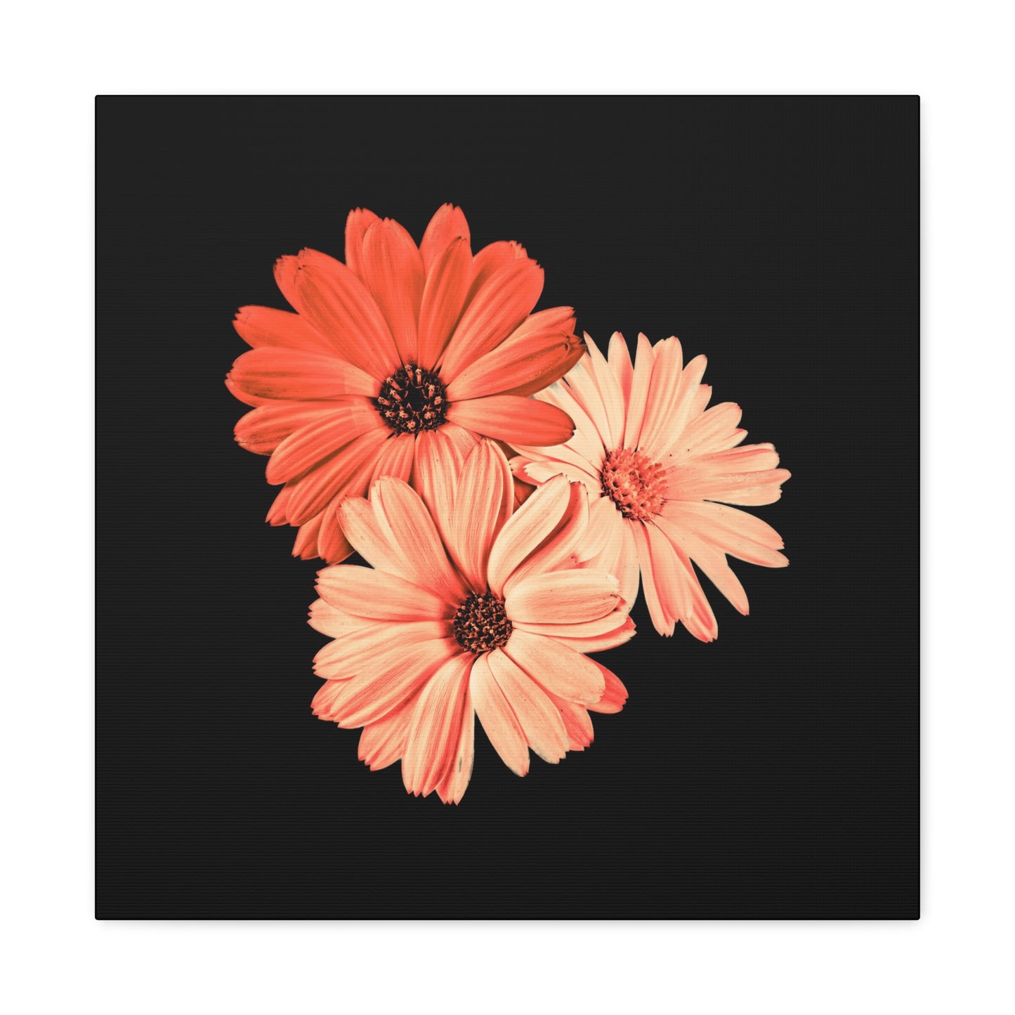 Collection Signature "FLORAL Numéro 6" sur Toile Fine Art sur Toile / Epaisseur 3,2cm - 1'25 po
