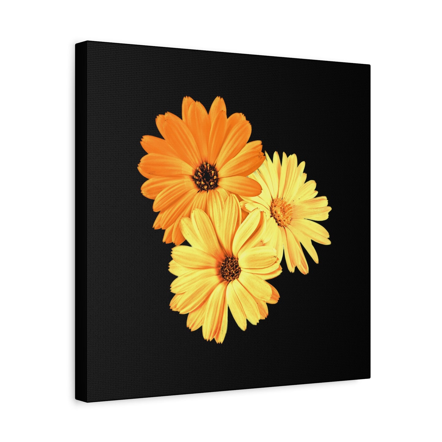 Collection Signature "FLORAL Numéro 8" sur Toile Fine Art sur Toile / Epaisseur 3,2cm - 1'25 po
