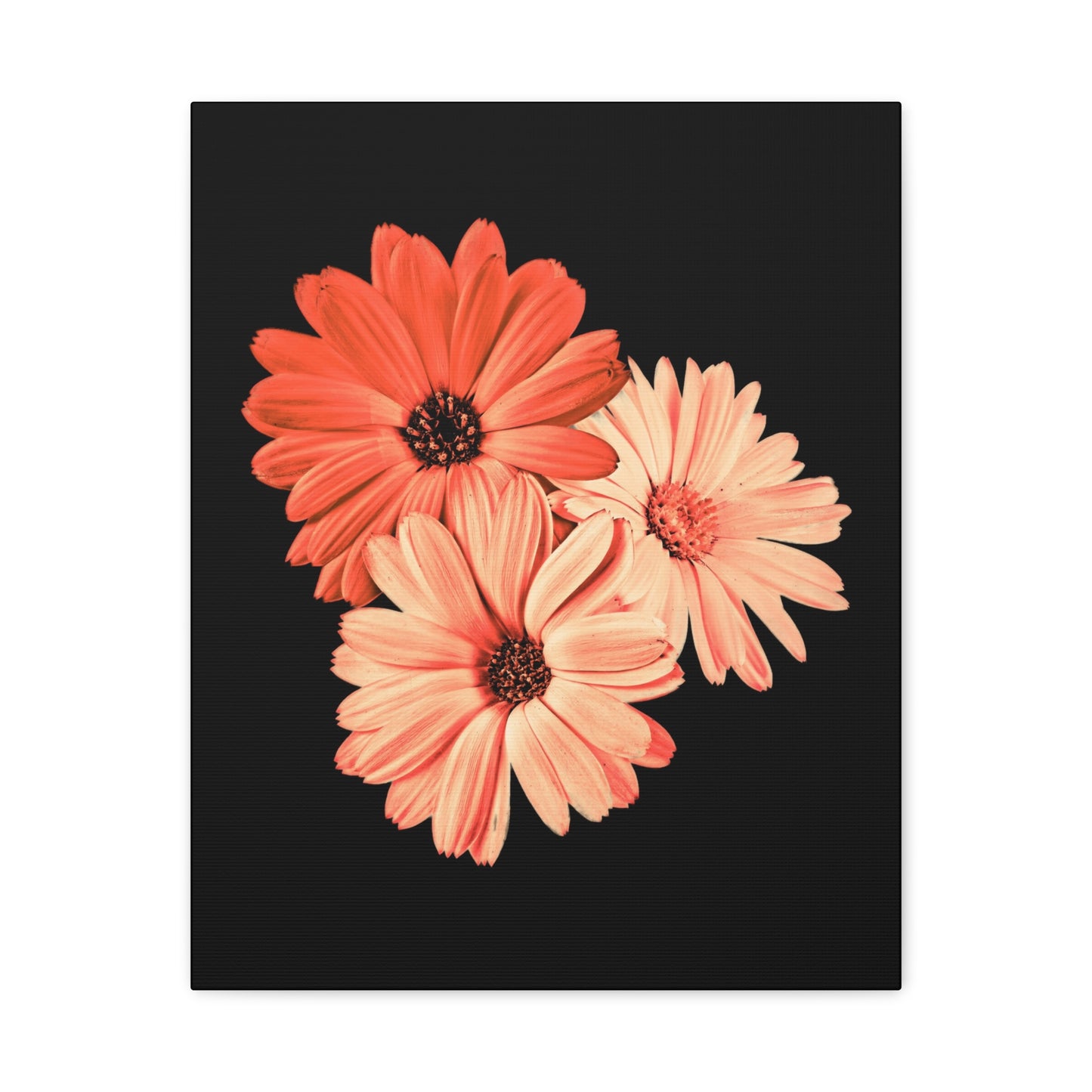 Collection Signature "FLORAL Numéro 6" sur Toile Fine Art sur Toile / Epaisseur 3,2cm - 1'25 po